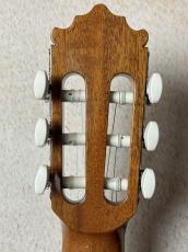 Paco Castillo 【初めてにおススメの1本】201S スプルース×サペリ【送料当社負担】_6