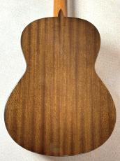 Paco Castillo 【初めてにおススメの1本】201S スプルース×サペリ【送料当社負担】_8