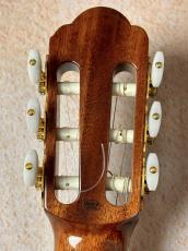 ARIA 【入門にピッタリの一本!!】A-50S 【ベアクローが目立つ杢目!!】_6