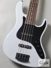 Kikuchi Guitars Hermes Series RV5 LE / Pewter Gray 【4.04kg】【即納可能】