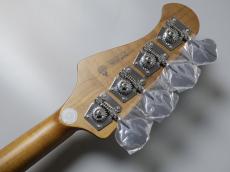 Bacchus WL4-STD/RSM-BLK-【4.08kg】_10