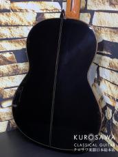 Paco Castillo パコ・カスティージョ Model:205C 杉・ローズウッド【日本総本店2F在庫品】_5