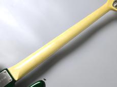 FUJIGEN NJB100RAL -Candy Apple Green-【4.20kg】_8