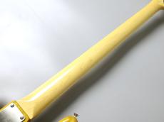 FUJIGEN KNJB100MBBM -Vintage Natural-【5.24kg】_8