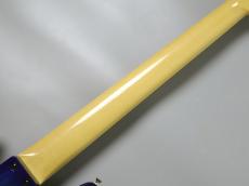 FUJIGEN NJB100MBAHV SBB / See-Thru Blue Burst 【重量4.52kg】_8