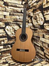 Paco Castillo パコ・カスティージョ Model:240C 杉・ローズウッド【日本総本店2F在庫品】