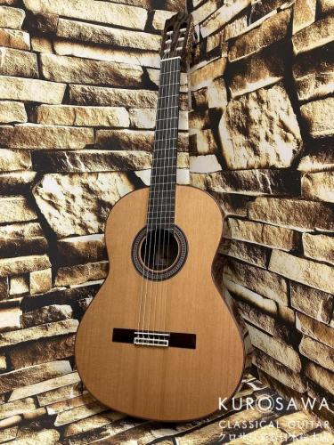 Paco Castillo パコ・カスティージョ Model:240C 杉・ローズウッド【日本総本店2F在庫品】