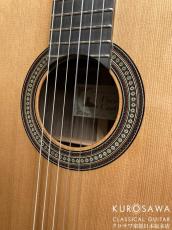 Paco Castillo パコ・カスティージョ Model:240C 杉・ローズウッド【日本総本店2F在庫品】_3