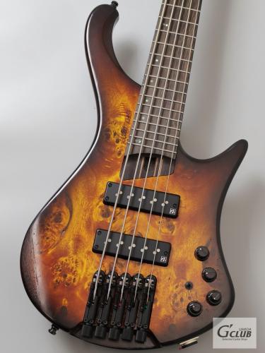 Ibanez EHB1505S -Dragon Eye Burst Low Gloss-【3.04kg】【NEW】