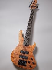 Sadowsky MetroLine 24-Fret Modern Bass 5st / ML24 MS5 2025 LTD【3.72kg】_2