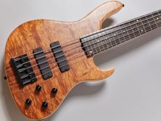 Sadowsky MetroLine 24-Fret Modern Bass 5st / ML24 MS5 2025 LTD【3.72kg】_4