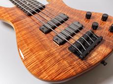 Sadowsky MasterBuilt 24-Fret Modern Bass MS5 2025 Limited Edition【AAAAAコアトップ】【重量3.58kg】_3