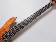 Sadowsky MasterBuilt 24-Fret Modern Bass MS5 2025 Limited Edition【AAAAAコアトップ】【重量3.58kg】_5