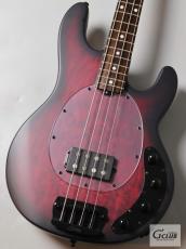 Sterling by MUSIC MAN RAY34PB -Dark Scarlet Burst Satin-【4.28kg】