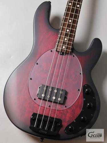 Sterling by MUSIC MAN RAY34PB -Dark Scarlet Burst Satin-【4.28kg】