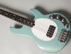 Sterling by MUSIC MAN RAY34 -Dorado Green-【4.18kg】_3