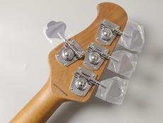 Sterling by MUSIC MAN RAY34 -Dorado Green-【4.18kg】_8