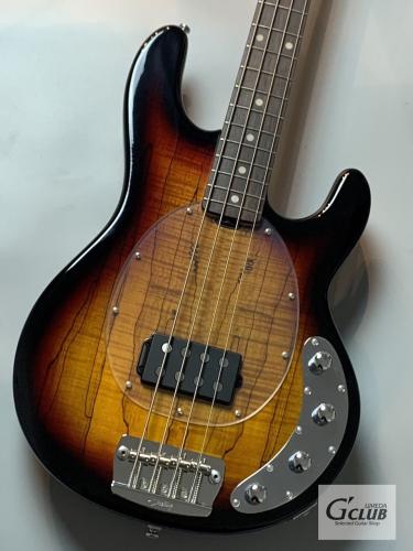 Sterling by MUSIC MAN RAY34SM -3 Tone Sunburst-【OUTLET】