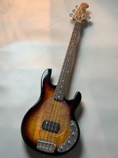 Sterling by MUSIC MAN RAY34SM -3 Tone Sunburst-【OUTLET】_2