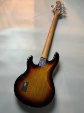 Sterling by MUSIC MAN RAY34SM -3 Tone Sunburst-【OUTLET】_7