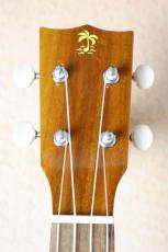 ILIKAI 【テナー・ハワイアンコア単板】TEN-4KGG 【初心者セット付属(チューナー&教本)・送料当社負担】_5