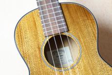 Martin 【ハワイアンコア単板・テナー】TKE Uke #39444【Martinチューナ-&クロス、教本付き・送料当社負担】_4
