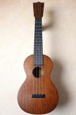 Martin 【美品中古・オールマホガニー単板】Concert FSC 2021年製【最大48回分割無金利】_2