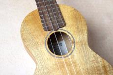 Martin 【ハワイアンコア単板・コンサートサイズ】 C1K Uke #39093【Martinチューナー&クロス付き】_4