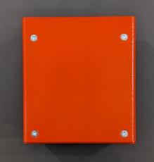 Lemon & Ginger puzz_5