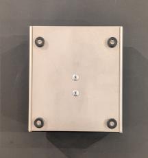 Lemon & Ginger muzz_5