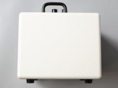 Phil Jones Bass NANOBASS X4C -White-_5