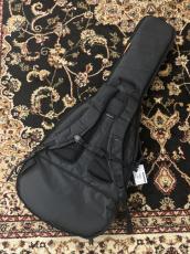 mono M80-STEG-BLK Electric Guitar Case_2