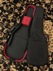 NAZCA エレキギター用 (LP)_3