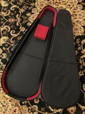 NAZCA オールラウンドギター用_3