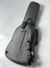 RITTER RGB4-E ANT -Electric Guitar-_2