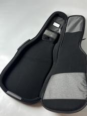 RITTER RGB4-E ANT -Electric Guitar-_3