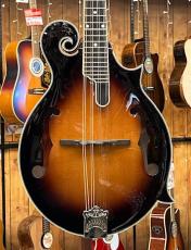 Epiphone F-5G Mandolin_2