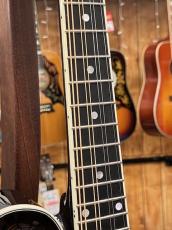 Epiphone F-5G Mandolin_4