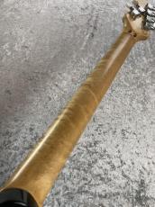 MUSIC MAN EVH Signature -Translucent Red- 1991年製_8