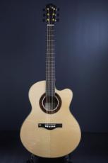 Peggy White PREMIER Cutaway