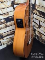 Antonio Sanchez [アントニオ・サンチェス] 2002年製 Mod.3028 オール単板フラメンコエレガット【日本総本店2F 在庫品】_9