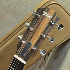 Taylor 【試奏動画あり】117e #2210263351【軽やかで明瞭なバランスの良い鳴り】【送料当社負担】【池袋店在庫品】_3