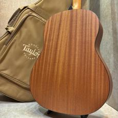 Taylor 【試奏動画あり】117e #2210263351【軽やかで明瞭なバランスの良い鳴り】【送料当社負担】【池袋店在庫品】_9