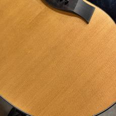 Taylor 【試奏動画あり】117e #2210263351【軽やかで明瞭なバランスの良い鳴り】【送料当社負担】【池袋店在庫品】_12