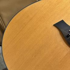 Taylor 【試奏動画あり】117e #2210263351【軽やかで明瞭なバランスの良い鳴り】【送料当社負担】【池袋店在庫品】_13