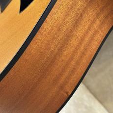 Taylor 【試奏動画あり】117e #2210263351【軽やかで明瞭なバランスの良い鳴り】【送料当社負担】【池袋店在庫品】_14