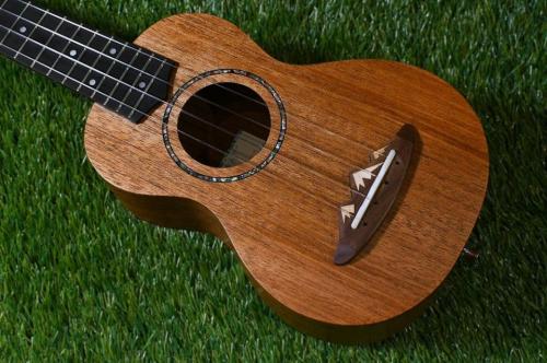 TODO MUSIC UTD-B10S Soprano