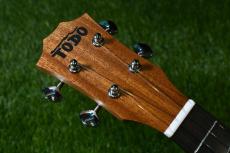 TODO MUSIC UTD-B10C Concert_5