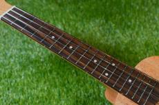 TODO MUSIC UTD-B10C Concert_7