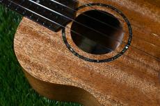 TODO MUSIC UTD-B10C Concert_9